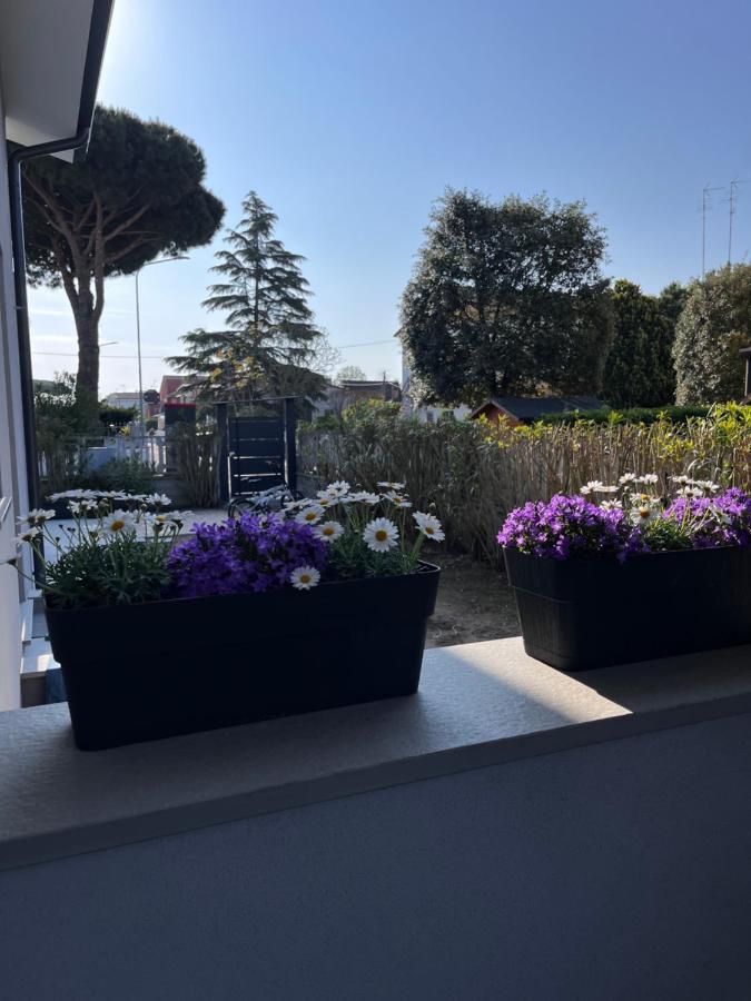 B&B A Due Passi Dal Mare Lido di Pomposa Exterior photo